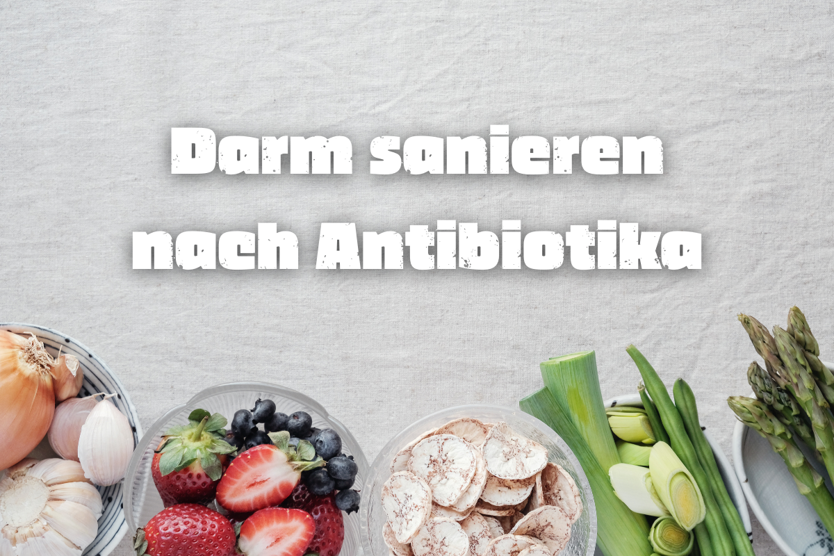 Darm sanieren nach Antibiotika