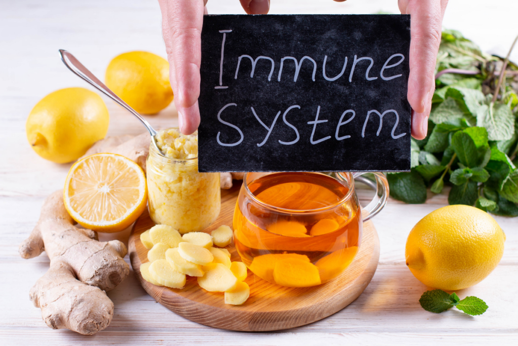 Zusammenhang zwischen Darm und Immunsystem